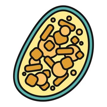 Cell division process showing biology microbiology bacteria Illustrazione stock