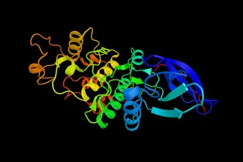 Cell division protein kinase 3, an enzyme which complements cdc28 mutants o.. Illustration