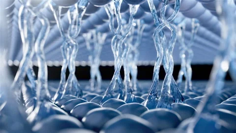 Cell division shuttle arranges penetrating essence essence ball molecular Video stock 253887373