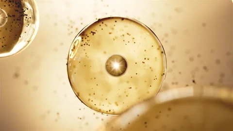 Cell division shuttle arranges penetrating essence essence ball molecular Video stock 261540417