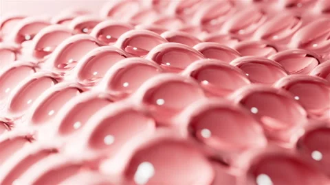 Cell division shuttle arranges penetrating essence essence ball molecular Stock-Footage 297960551