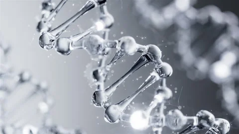 Cell division shuttle arranges penetrating essence essence ball molecular Video stock 305981482