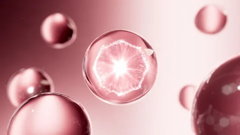 Cell division shuttle arranges penetrating essence essence ball molecular Video stock 306234294