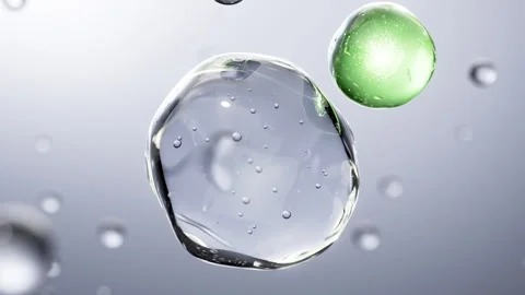 Cell division shuttle arranges penetrating essence essence ball molecular Stock-Footage 324787320