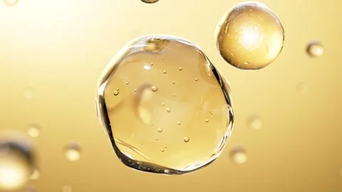 Cell division shuttle arranges penetrating essence essence ball molecular Stock-Footage 324789444
