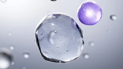 Cell division shuttle arranges penetrating essence essence ball molecular Stock-Footage 324791427