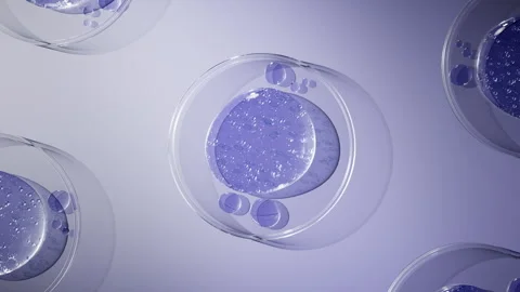 Cell division shuttle arranges penetrating essence essence ball molecular Stock-Footage 324831892