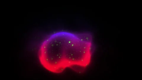 Cell Division Under Microscope Closeup. Stock Footage 333923613