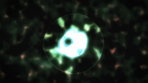 Cell Division Under The Microscope. Green Color. Stock Footage 120560010