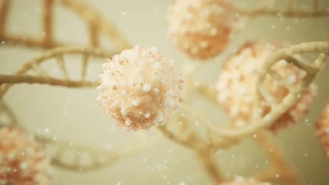 Cell-DNA Interaction 3D Animation Video stock 336042975