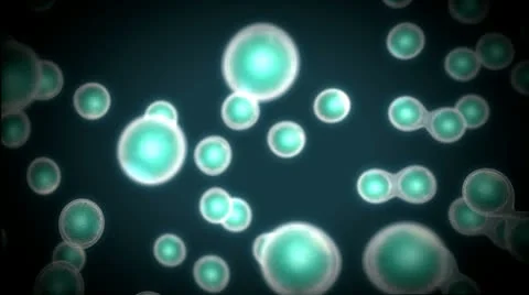 Cell Duplication Video stock 22938418