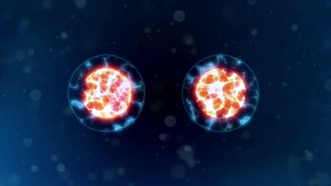 Cell embryo, Mitosis under microscope. Video stock 134675180