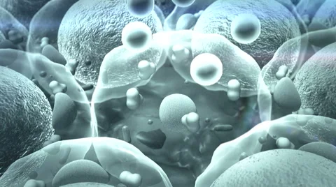 Cell, fat cell Vidéo 49829601