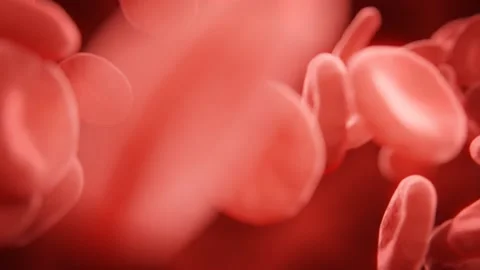 Cell Flow Red Blood Cell Get Vaccinated 3D Animation Abstract Illustration. Stock Footage 145860379