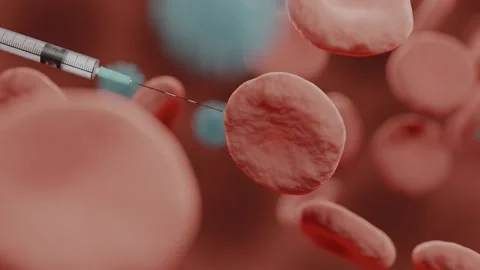Cell Flow Red Blood Cell Get Vaccinated 3D Animation Abstract Illustration. Stock Footage 145885655