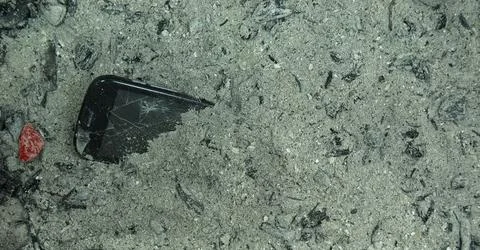 Cell fun inside ashes, originating from a fire Stock Photos