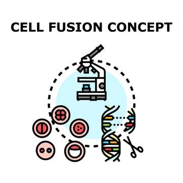 Cell fusion concept for genetic engineering research and biotechnology 库存插图