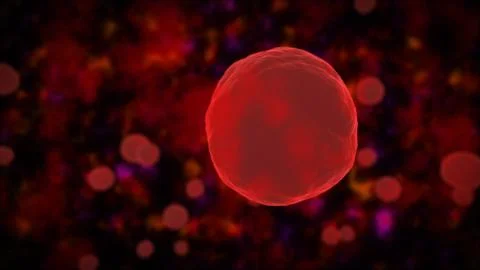 Cell, Human Cell, Animal Cell. Illustrazione stock