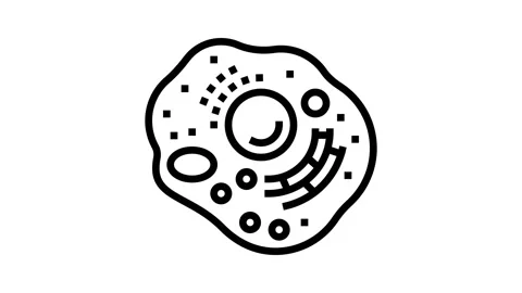 Cell human line icon animation Stock Footage 224435620