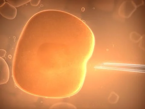 Cell Stock Illustration