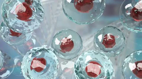 The cell image for sci or education concept 3d rendering. Stock Illustration