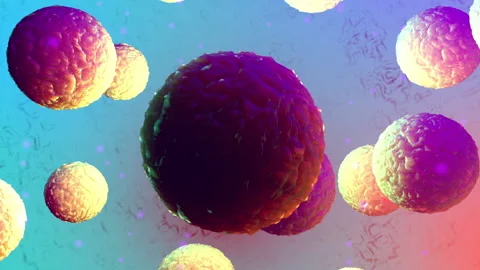 Cell inflammation Vídeos de archivo 137531813