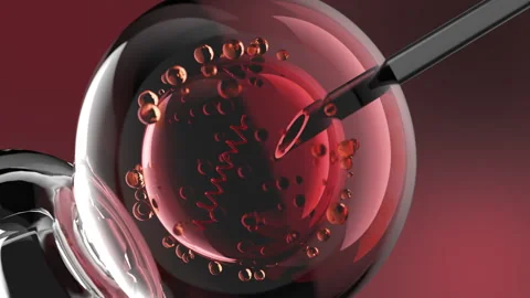 Cell injection, dna injected into cell, visualisation Stock Footage 158297377
