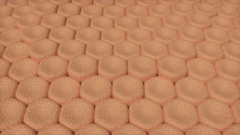 Cell layers before and after the renovation process.Dry skin to hydrated skin Stock Footage 247250737