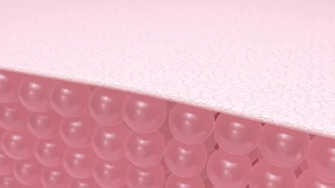 Cell layers before and after the skin renovation process.Effect beauty treatment Stock Footage 247249506