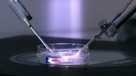 Cell manipulation at a genetics laboratory Video stock 88131650