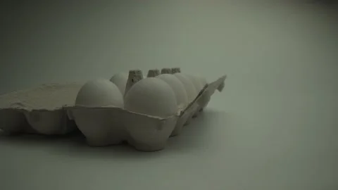 Cell with many white eggs. Camera move to them. Close ups shot from Laowa 24 Stock Footage 132315379