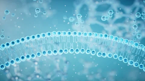 Cell membrane absorb the molecules, 3d rendering. Stock Footage 192512507