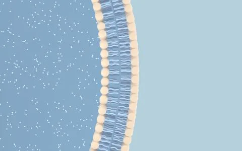 Cell membrane with blue background, 3d rendering. Stock Illustration