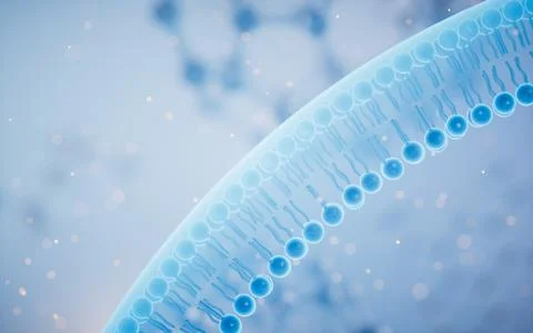 Cell membrane with blue background, 3d rendering. Stock Illustration