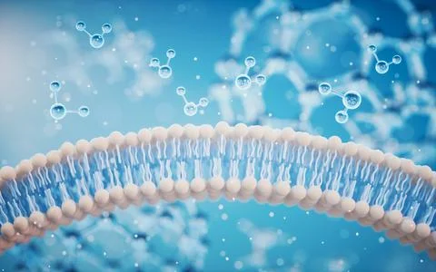 Cell membrane with blue background, 3d rendering. Stock Illustration