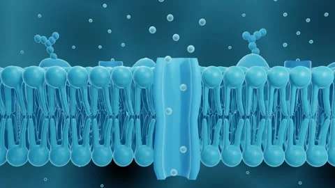 Cell membrane Stock Footage 158817885