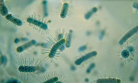 Cell Membrane Lipid Bilayer Microscopic View 4K Stock Footage 347105289