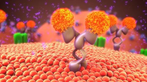 Cell membrane receptors Stock Illustration