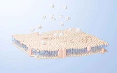 Cell membrane structure background, 3d rendering. Stock Illustration
