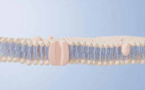 Cell membrane structure background, 3d rendering. Stock Illustration