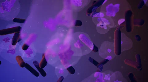 Cell Microbe Virus Molecule Bacteria Stock Footage 45834534