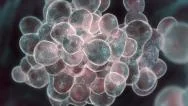 Cell Mitosis Excessive Growth Stock Footage