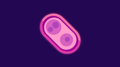 Cell Mitosis Sequence Stock Footage 335639737