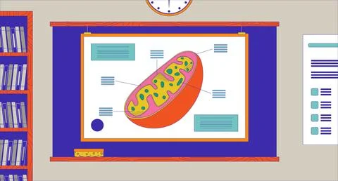 Cell model on classroom blackboard cartoon flat illustration Stock Illustration
