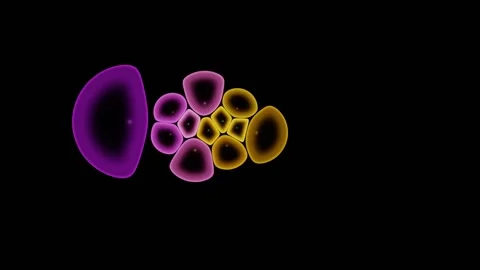 Cell Monolayer Closes A Gap In A Wound Healing Assay Stock-Footage 344513227