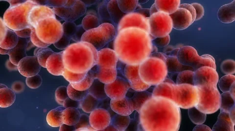 Cell Multiply Vidéo 22009970