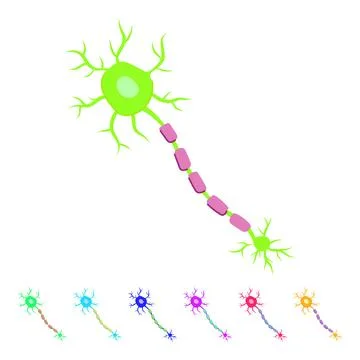 Cell neurons vector cartoon graphic Stock Illustration