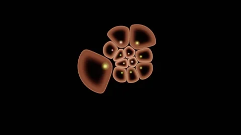 Cell Nuclei Brighten And Dim Across A Living Colony Stock-Footage 344512835