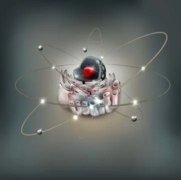 Cell Nucleus and Endoplasmic reticulum Illustrazione stock