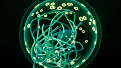 Cell nucleus filled with tangled chromatin dna threads loop Stock Footage 343194260